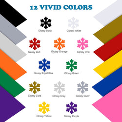 Adhesive Vinyl Roll Bundle - 12"x5 FT (12 Assorted）